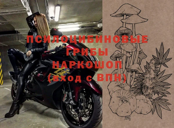 таблы Краснослободск