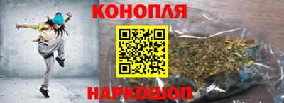 крисы Волгодонск