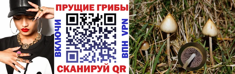 наркота  Кировск  Галлюциногенные грибы мухоморы 