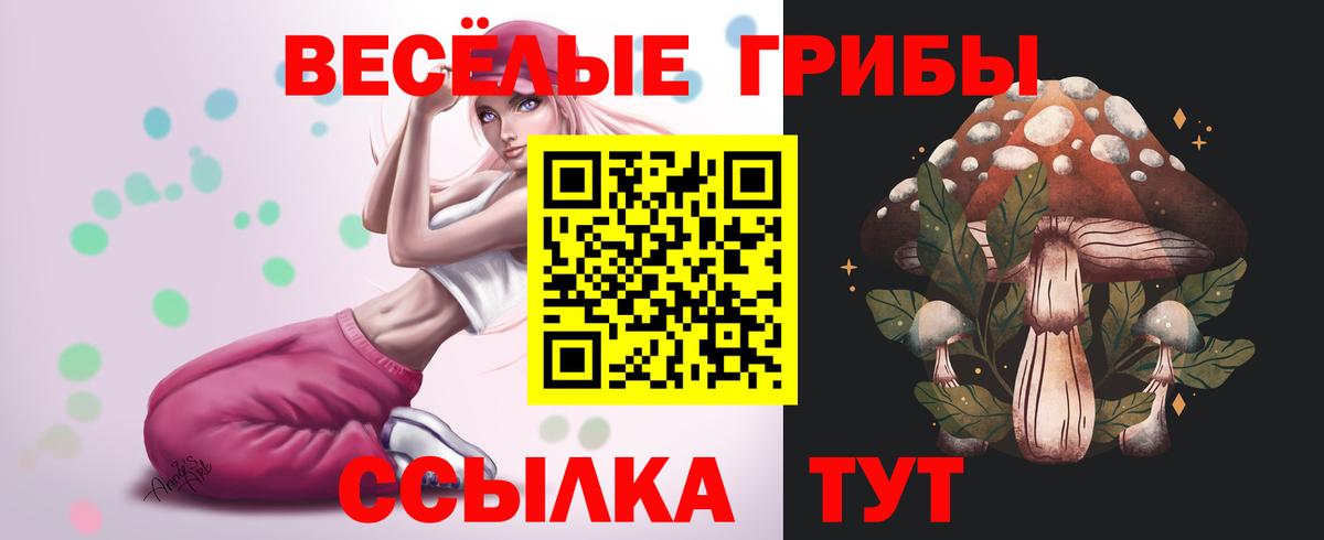 Псилоцибиновые грибы GOLDEN TEACHER  Вход с VPN  Кировск 